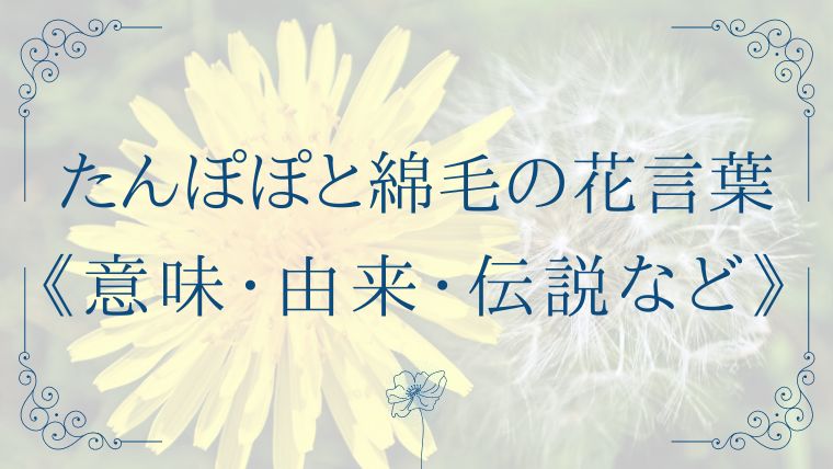 たんぽぽと綿毛の花言葉